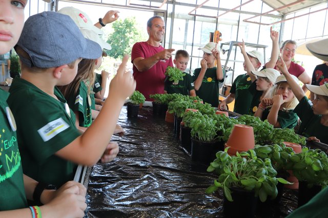 Martin Geißler pflanzt mit den frisch gebackenen Minigärtner Basilikum um. | Foto: Bauer