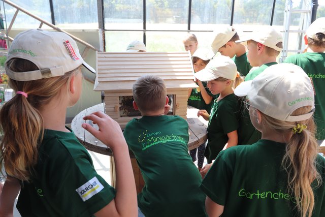 Bienen in Aktion beobachten | Foto: Bauer