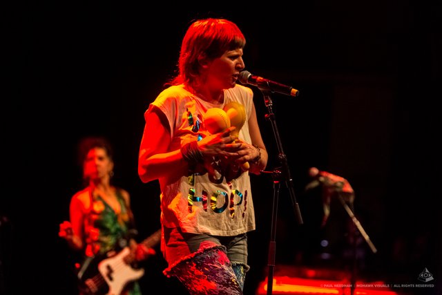 Kumbia Queers, Zeltival 2019 | Foto: Paul Needham