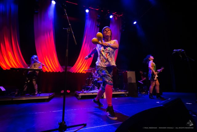 Kumbia Queers, Zeltival 2019 | Foto: Paul Needham