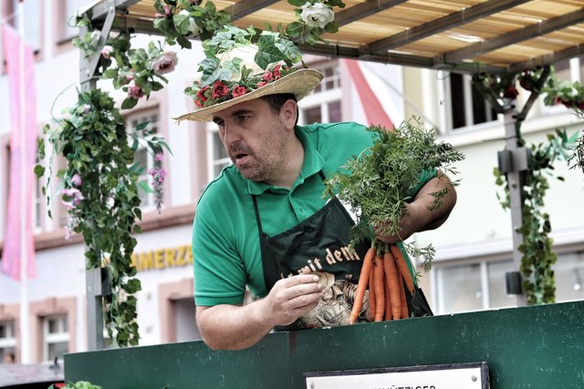 Karotte gefällig? | Foto: Bauer
