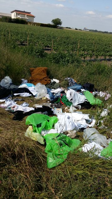 Foto: Ordnungsamt Mutterstadt