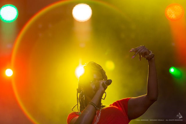 Gentleman, Das Fest 2019 | Foto: Paul Needham