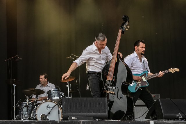 Cobra Express | Foto: Paul Needham