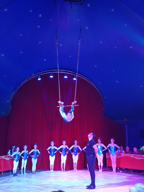 Wie die großen Artisten: Diese Zirkusartistin aus Hagenbach schwebt unterm Zelt. | Foto: PS