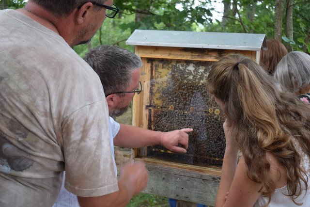 Bienen gefahrlos ganz nah. | Foto: B.Bender