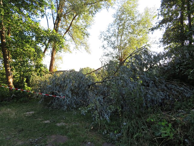 Am Niederwiesenweiher | Foto: Brigitte Melder