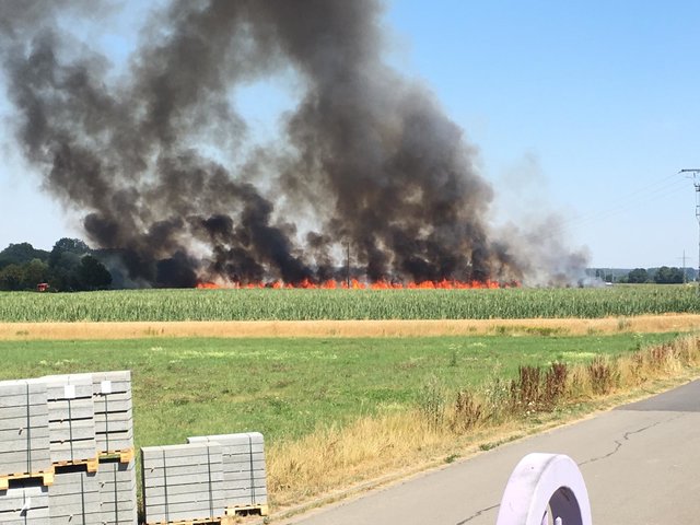 Foto: Feuerwehr Bruchmühlbach-Miesau / ps