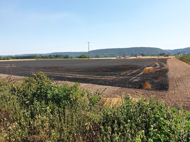 Foto: Feuerwehr Bruchmühlbach-Miesau / ps