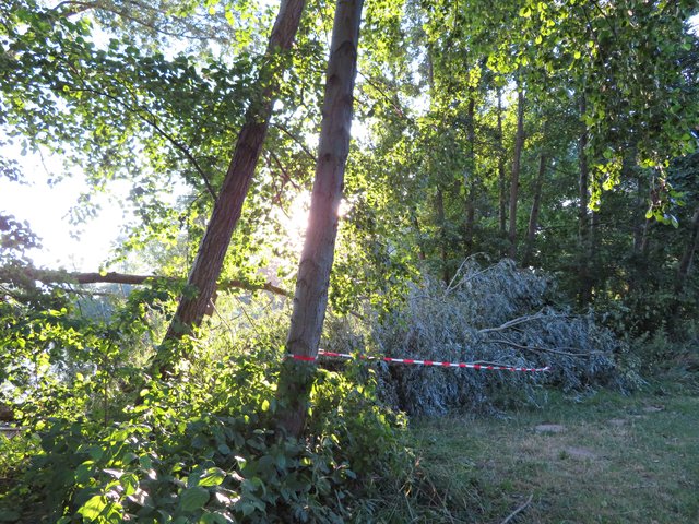 Am Niederwiesenweiher | Foto: Brigitte Melder