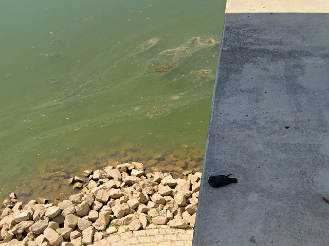 Im Schatten schläft es sich gut | Foto: Brigitte Melder