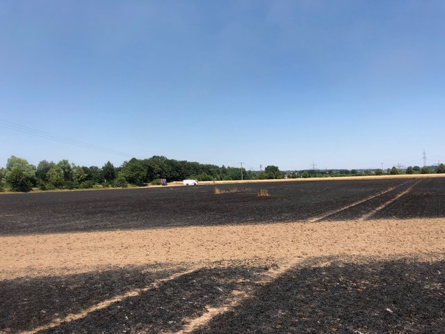 Foto: Feuerwehr Bruchmühlbach-Miesau / ps