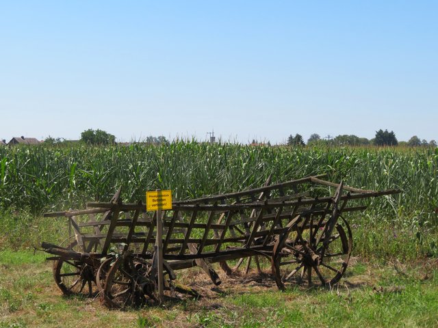 Ein alter Karren vor dem Maisfeld | Foto: Brigitte Melder