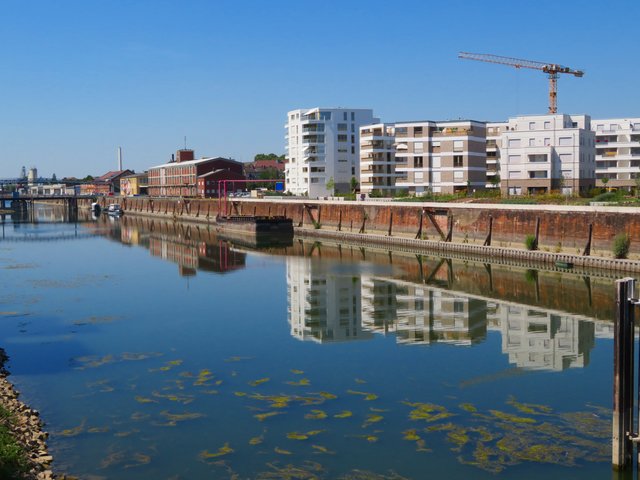 Der Luitpoldhafen mit seinen Vorzeigehäusern | Foto: Brigitte Melder