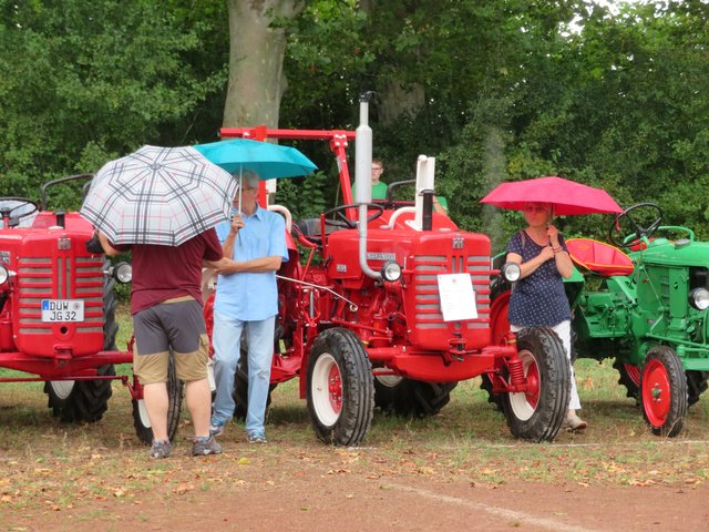 Alle suchten Unterschlupf | Foto: Brigitte Melder