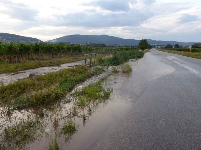 L516 | Foto: Medienteam Feuerwehr Neustadt