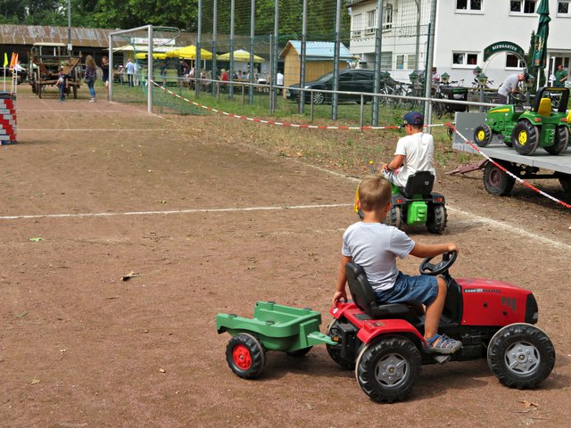 Trettraktoren für die Kleinen | Foto: Brigitte Melder