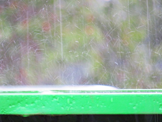 .............. und dann kam der Regen | Foto: Brigitte Melder