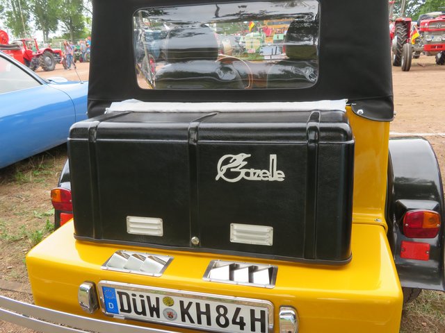 Die Gazelle | Foto: Brigitte Melder