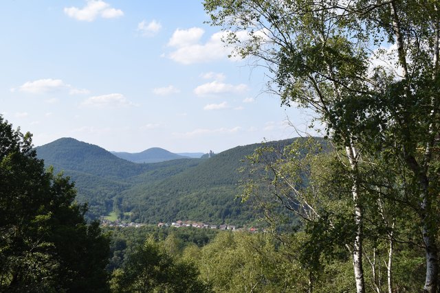 Herrlicher Blick zur Burg Trifels.  | Foto: B.Bender