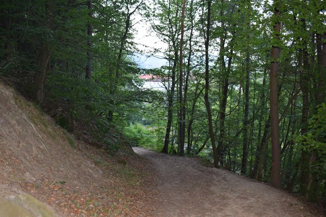 Der Panoramaweg führt von Burg Landeck zur Johannaquelle.  | Foto: B.Bender