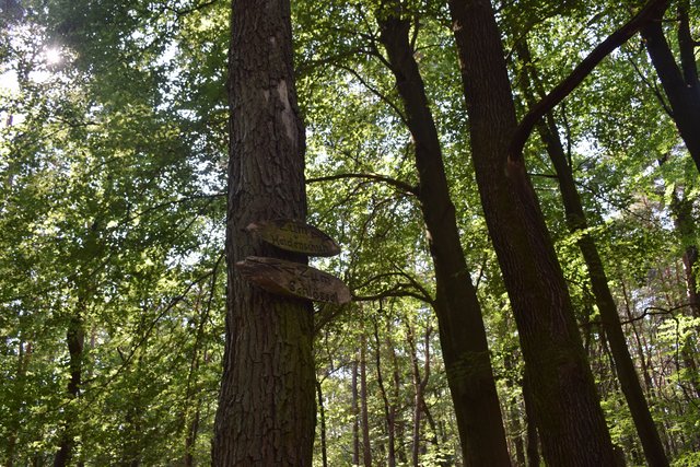Vom Schlössel geht's zum Heidenschuh. | Foto: B.Bender