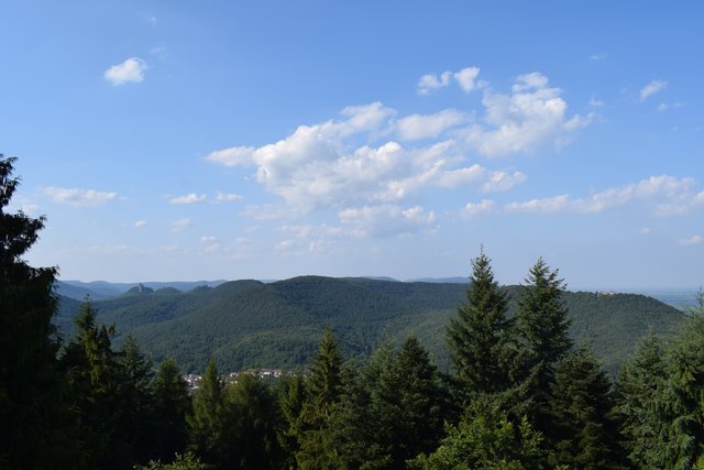Und auch hier ist die Burg Trifels zu sehen. | Foto: B.Bender