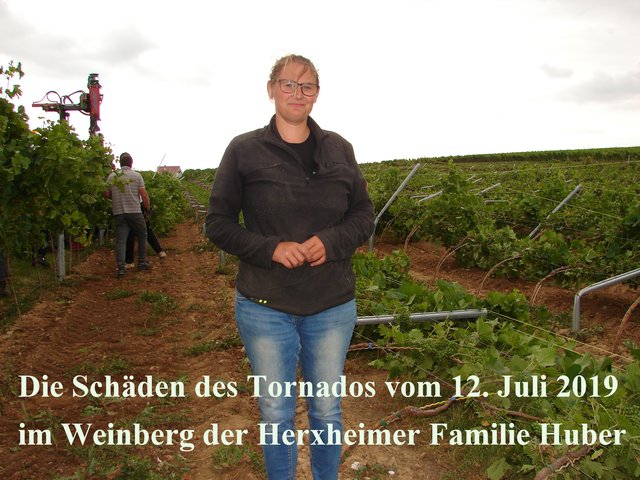 In der Gemarkung von Herxheim tobte im Juli ein Tornado.