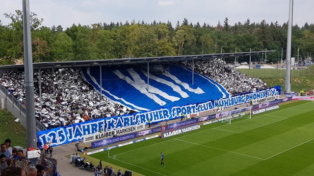 beste Stimmung im Wildpark | Foto: jow