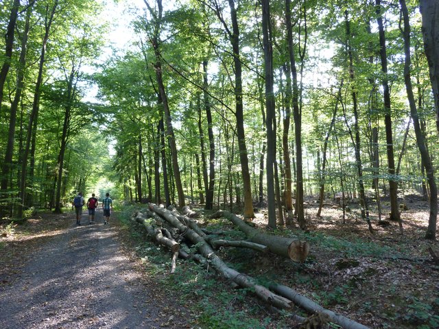 „Das Wandern ist des Müllers Lust“