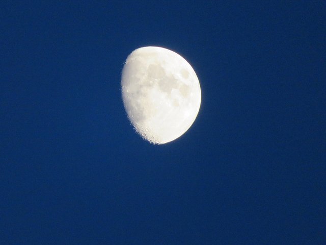 Der Mond ist noch nicht voll, aber vielleicht der ein oder andere Gast ;-) | Foto: Brigitte Melder