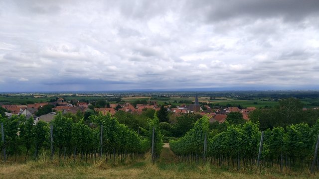 Blick über Schweigen. | Foto: B.Bender