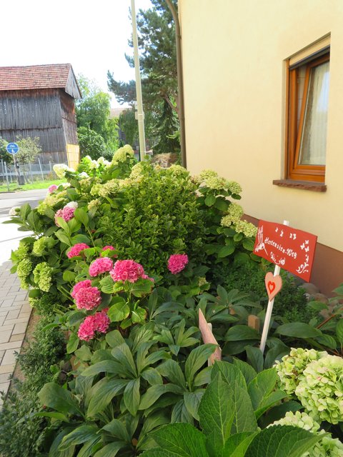 Ein toller Tabakweg an dieser bepflanzten Blumenstrecke | Foto: Brigitte Melder