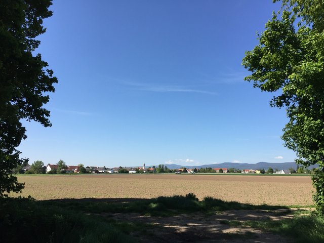 Blick auf Rödersheim-Gronau
aufgenommen am 14.05.2019