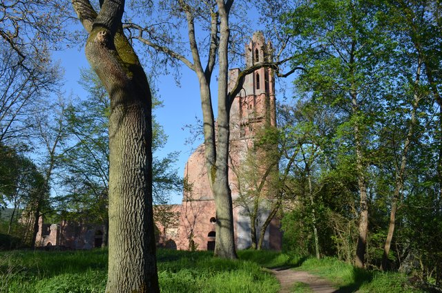 Die Limburg/Bad Dürkheim
aufgenommen am 21.04.2019