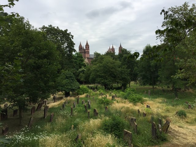 Blick vom Jüdischen Friedhof Worms auf den Dom
aufgenommen am 07.07.2019