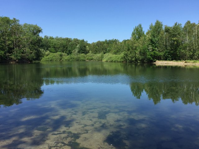Entenweiher bei Birkenheide
aufgenommen am 07.06.2019