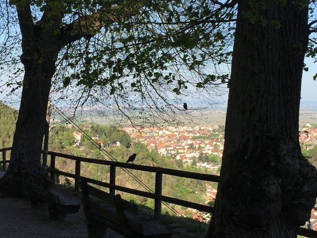 Blick von der Limburg auf Bad Dürkheim
aufgenommen am 21.04.2019