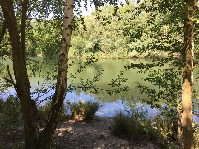 Entenweiher bei Birkenheide
aufgenommen am 07.06.2019
