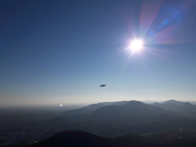 Fotografiert am Orensberg (Frankweiler);
Landkreis Südliche Weinstraße, Rheinland-Pfalz  | Foto: Katrin Hill