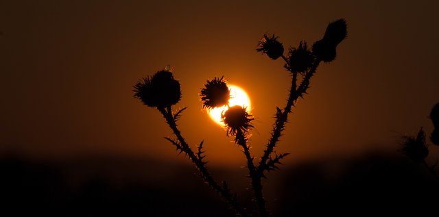 Sonnenuntergang Bad Dürkheim 