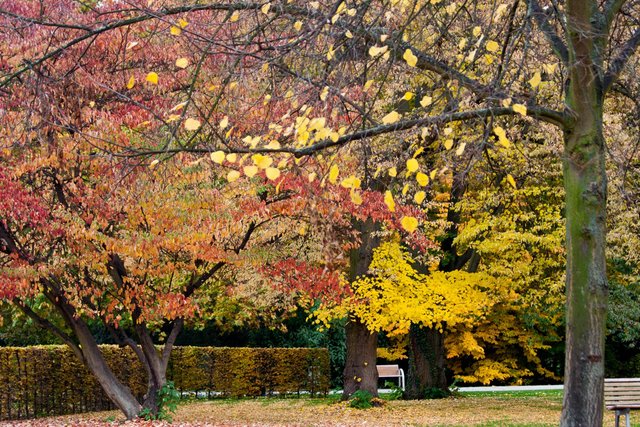 Ebertpark