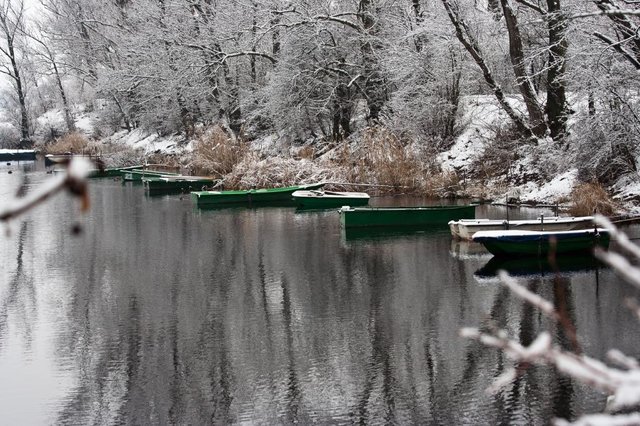 Baggerweiher Oggersheim