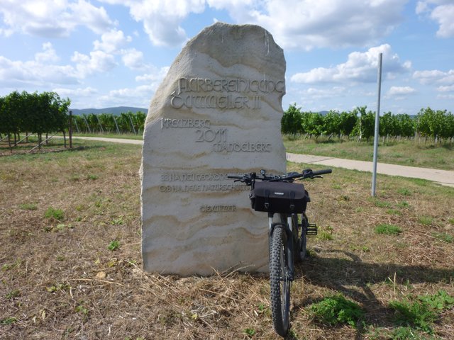 Ein Denkmal für die Flurbereinigung. Ganz nebenbei ist auch noch ein ordentlicher Radweg zwischen Duttweiler und Lachen-Speyerdorf entstanden. | Foto: Franz Walter Mappes
