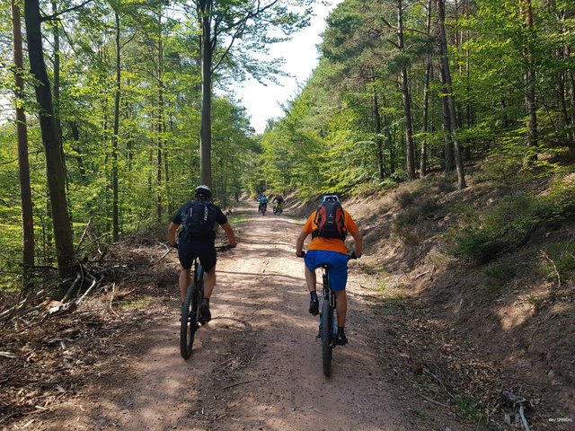 Foto: O. Bernstengel