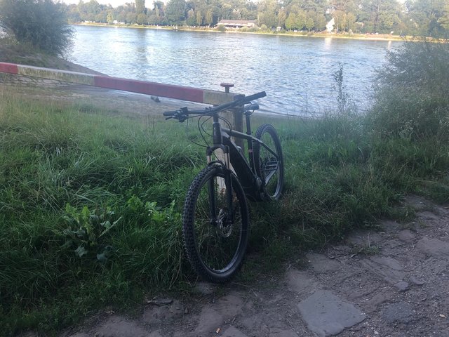 Abendliche Tour nach Leimersheim an den Rhein. | Foto: Franz Walter Mappes