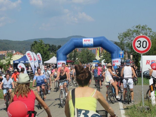 Foto: Wilfried Schwarzweller