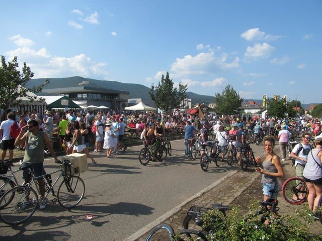 Foto: Wilfried Schwarzweller