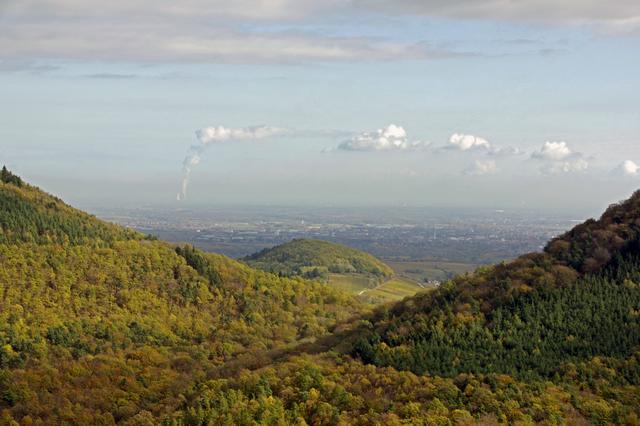 Trifels, Blick ins Rheintal | Foto: Ilona Schäfer