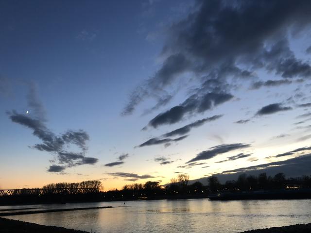 Rheinsheim 2019 | Foto: Sarah Dahl 